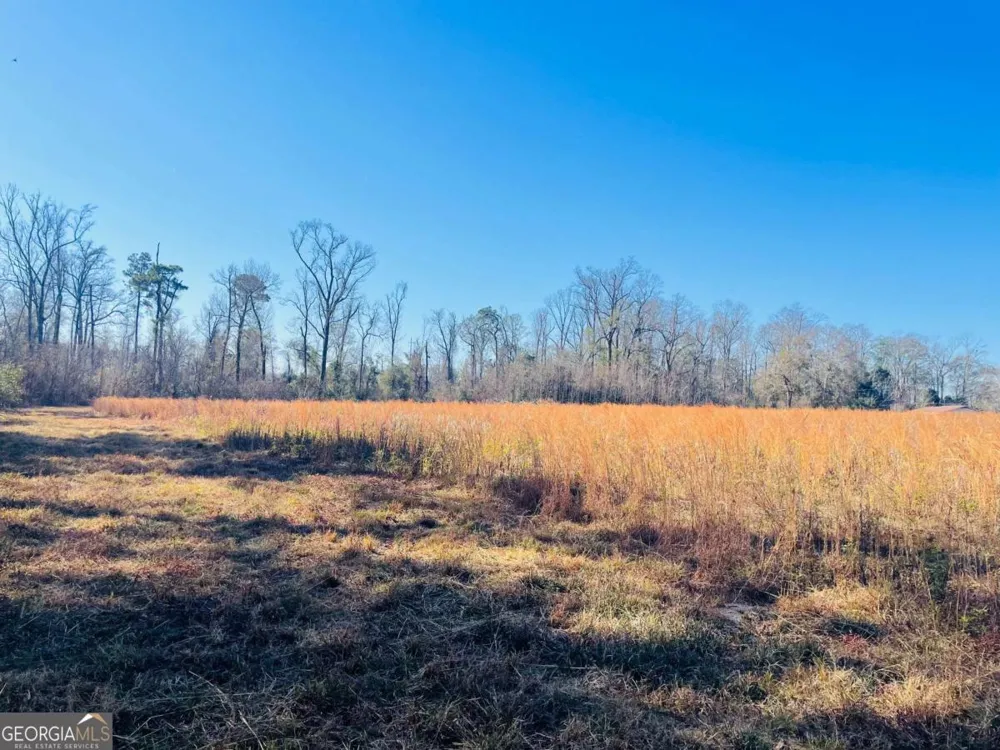 16.59AC Rosemont RD Glennville, GA 30427