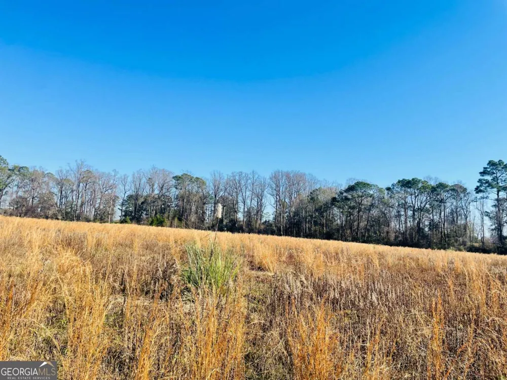 16.59AC Rosemont RD Glennville, GA 30427