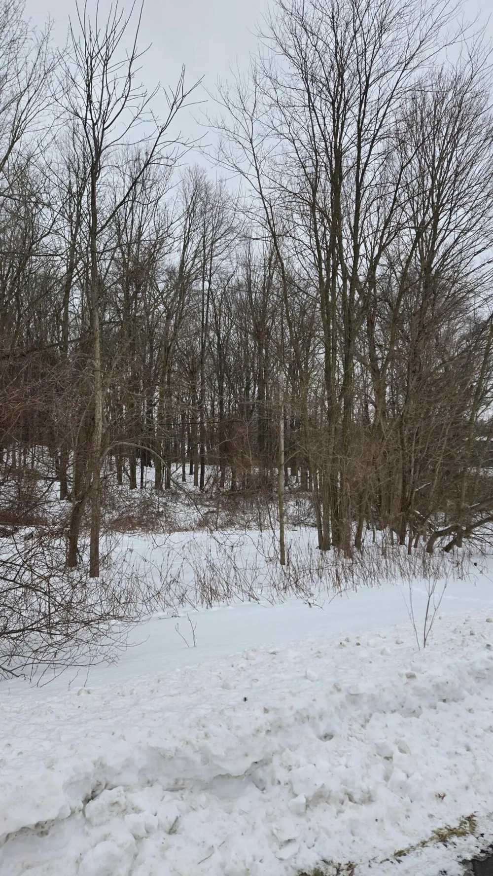 Ann Arbor Road Jackson, MI 49201