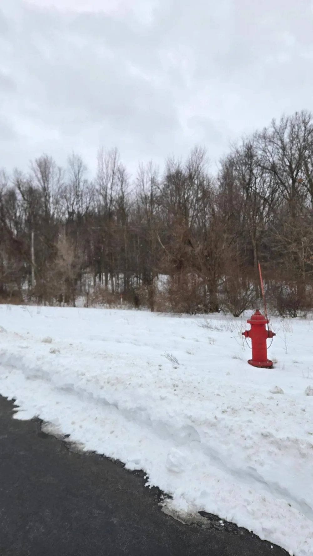 Ann Arbor Road Jackson, MI 49201