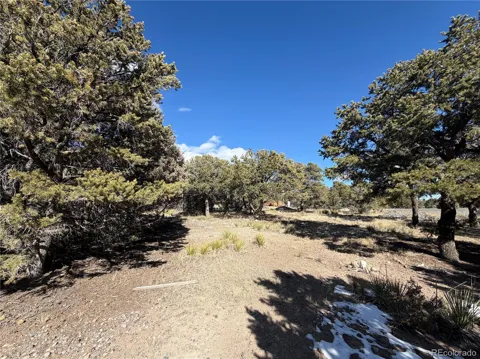 390 Cameron Pass Road