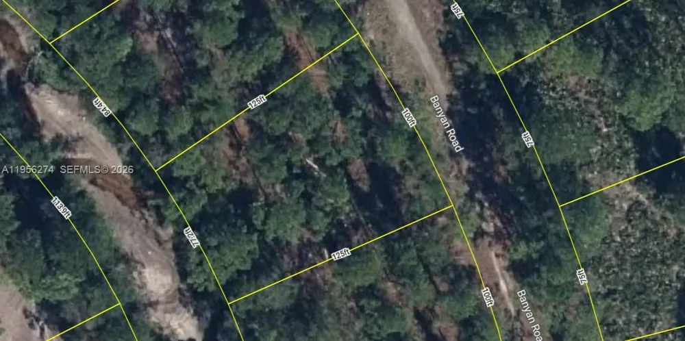 6149 BANYAN RD Sebring, FL 33875