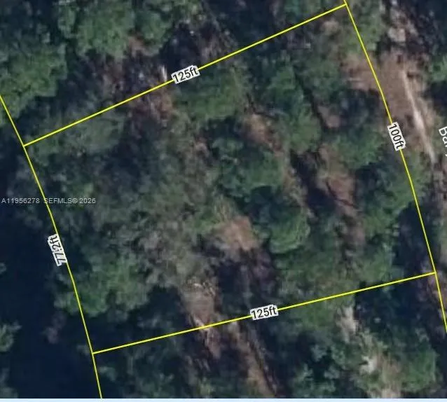 6203 BANYAN RD Sebring, FL 33875