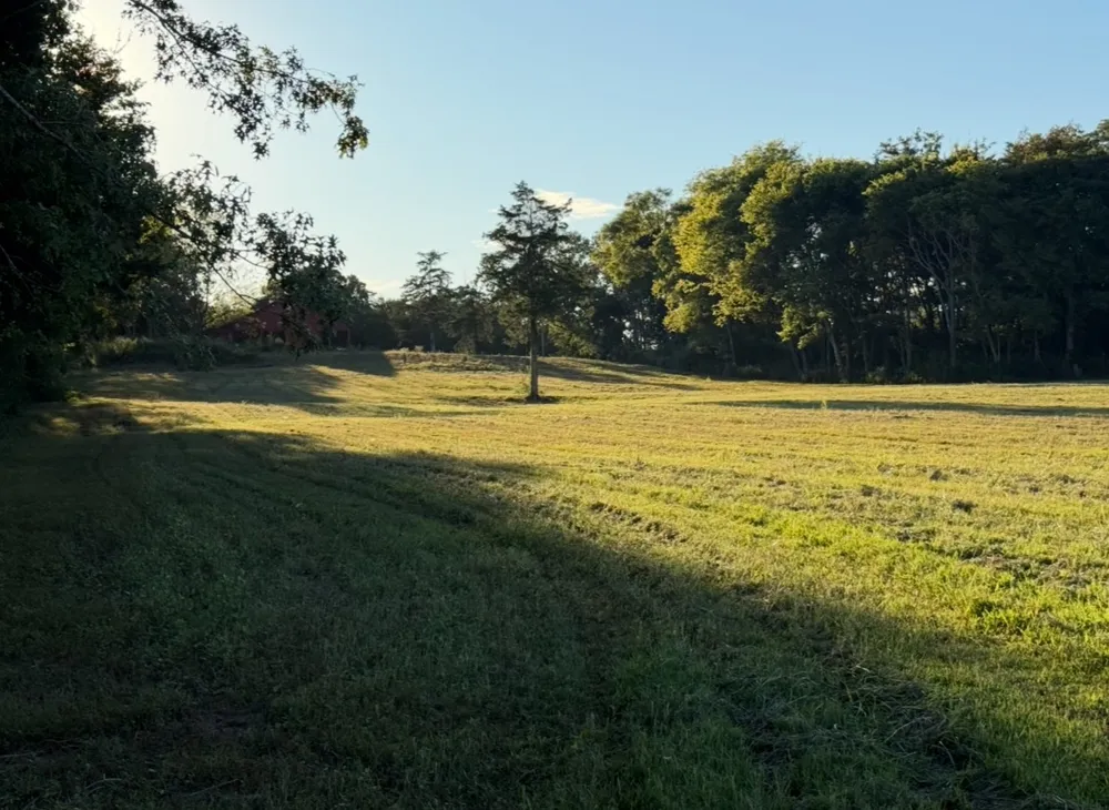 0 Minkslide Rd Bell Buckle, TN 37020