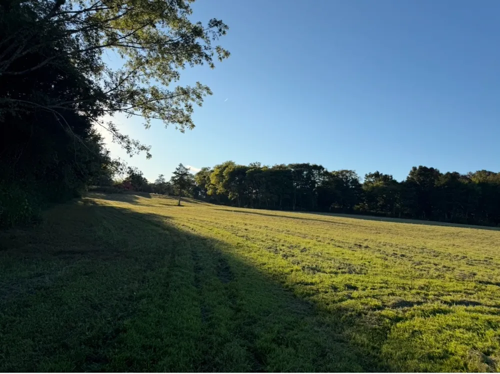 0 Minkslide Rd Bell Buckle, TN 37020
