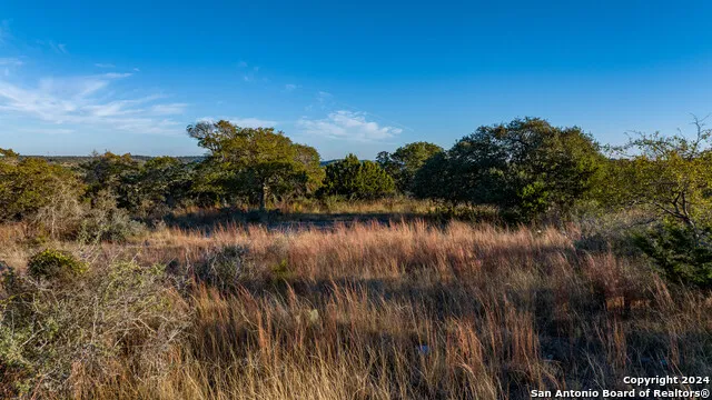 259 Lookout Point N Comfort, TX 78013