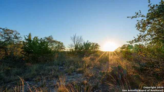259 Lookout Point N Comfort, TX 78013