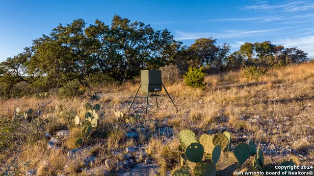 259 Lookout Point N Comfort, TX 78013