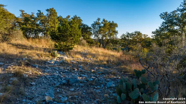 259 Lookout Point N Comfort, TX 78013