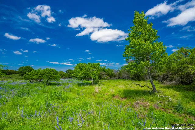 0 Jung Road Harper, TX 78631