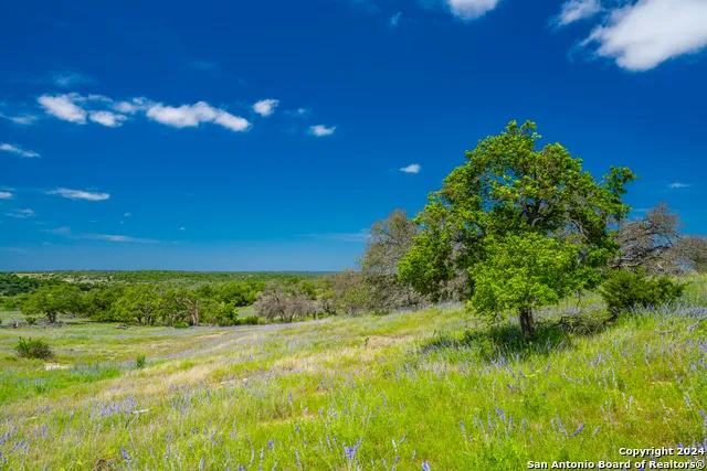 0 Jung Road Harper, TX 78631