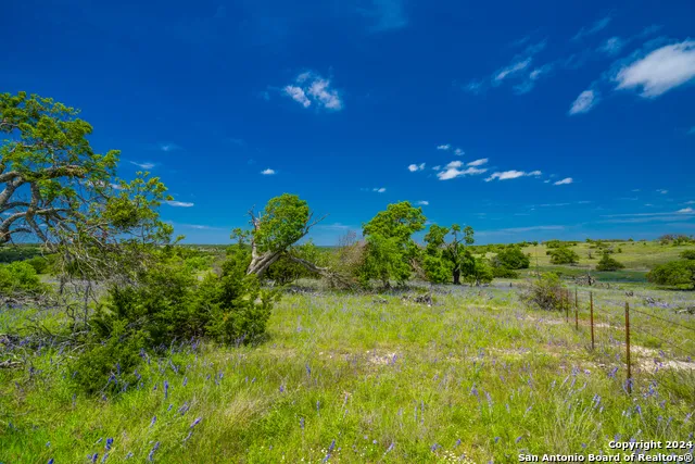 0 Jung Road Harper, TX 78631