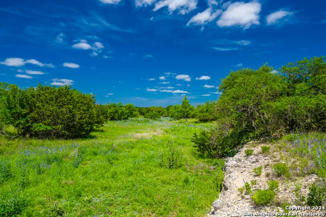 0 Jung Road Harper, TX 78631