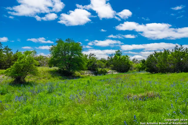 0 Jung Road Harper, TX 78631