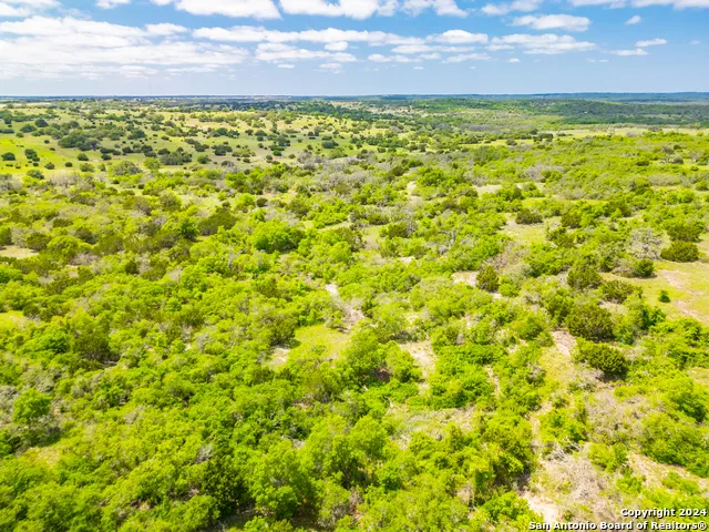 0 Jung Road Harper, TX 78631