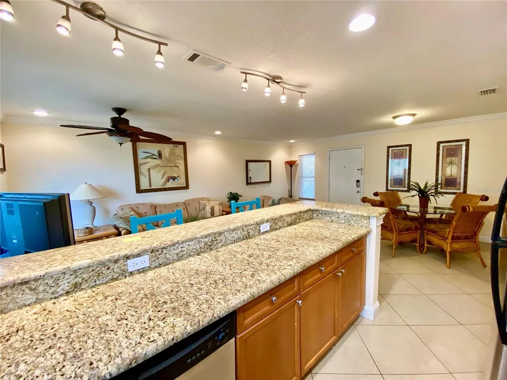 9060 BLIND PASS ROAD #25 St Pete Beach, FL 33706