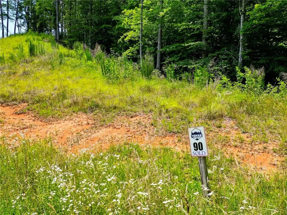 0 Yonah Lake Drive Sautee Nacoochee, GA 30571