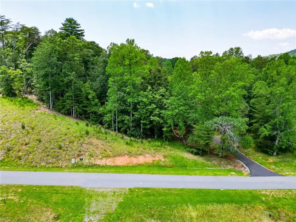 0 Yonah Lake Drive Sautee Nacoochee, GA 30571