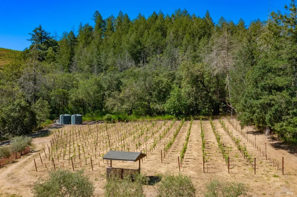 2131 Foothill Boulevard Calistoga, CA 94515
