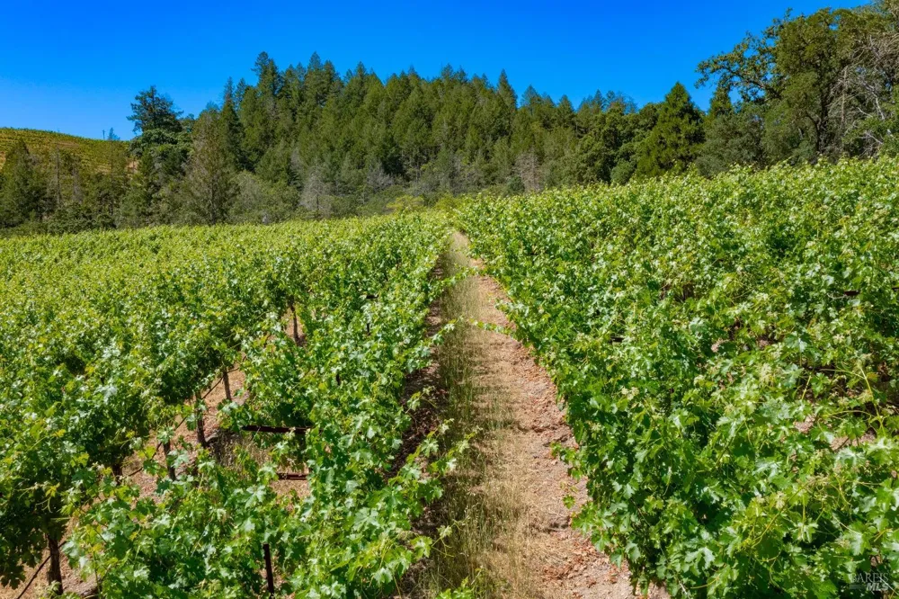 2131 Foothill Boulevard Calistoga, CA 94515
