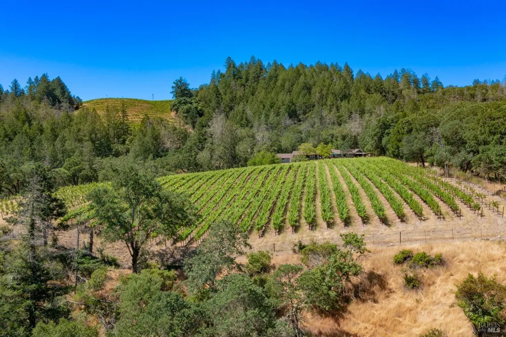 2131 Foothill Boulevard Calistoga, CA 94515