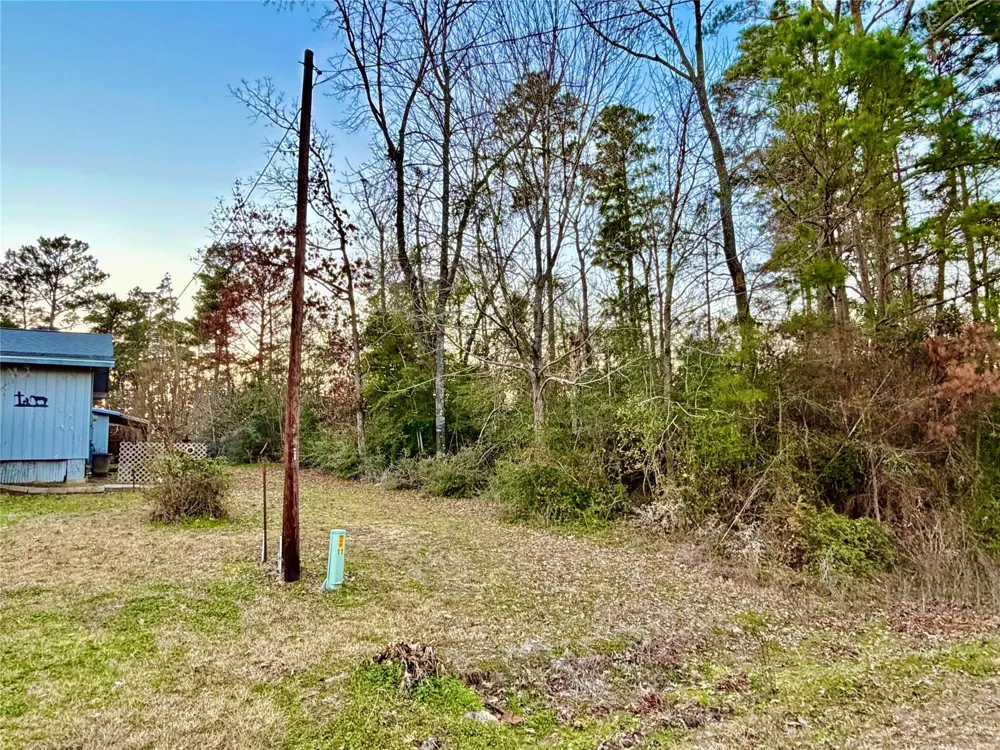 Tallow Street Onalaska, TX 77360