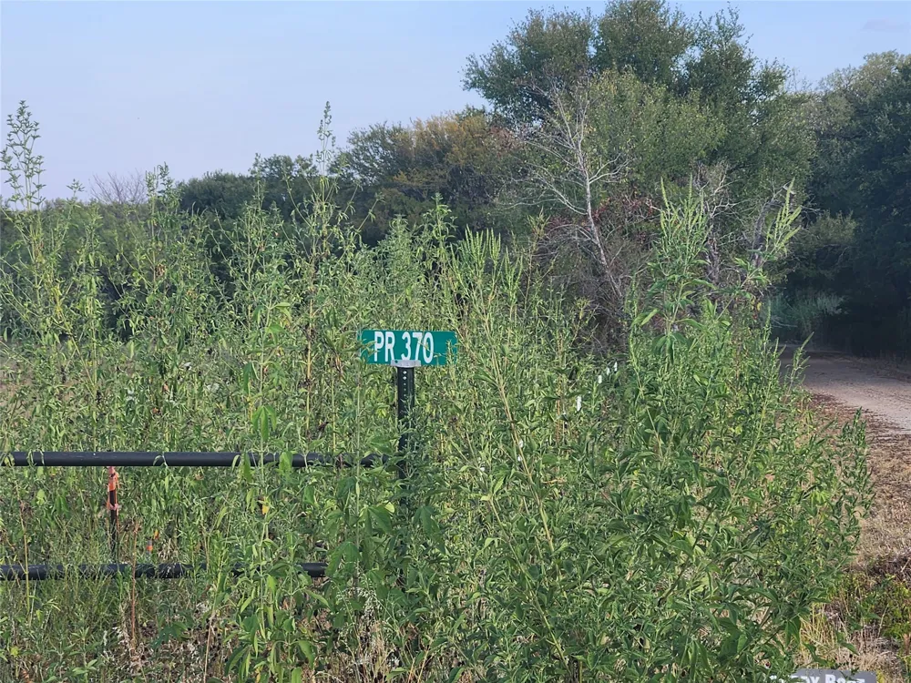 Country Road 3368 Hubbard, TX 76648