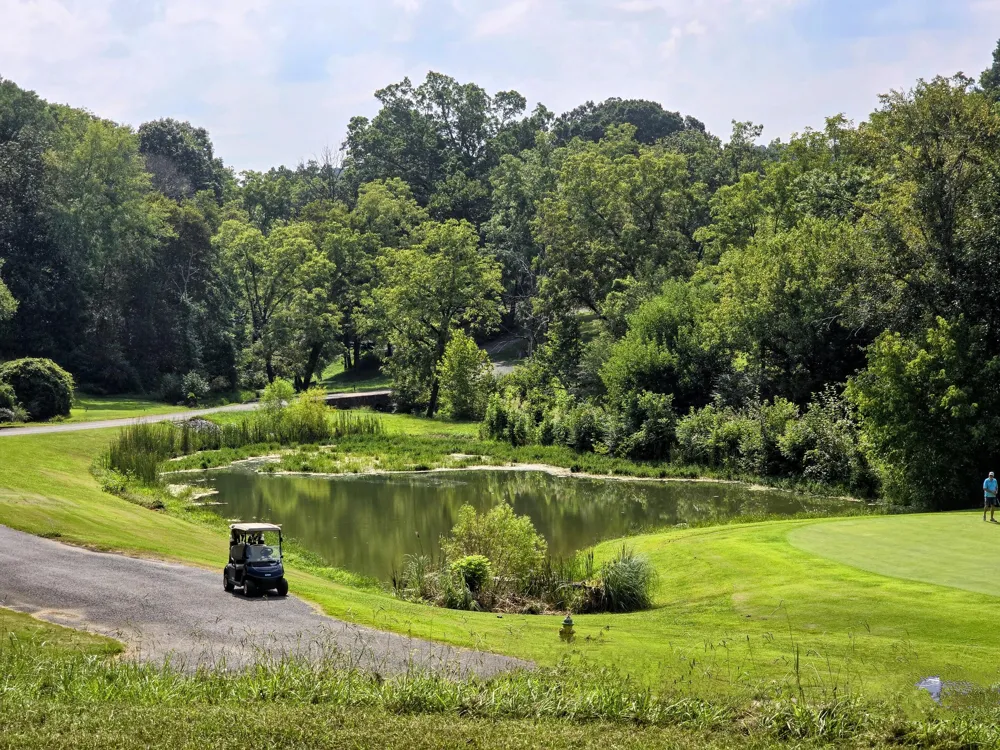 2042 Willow Springs Drive Athens, TN 37303