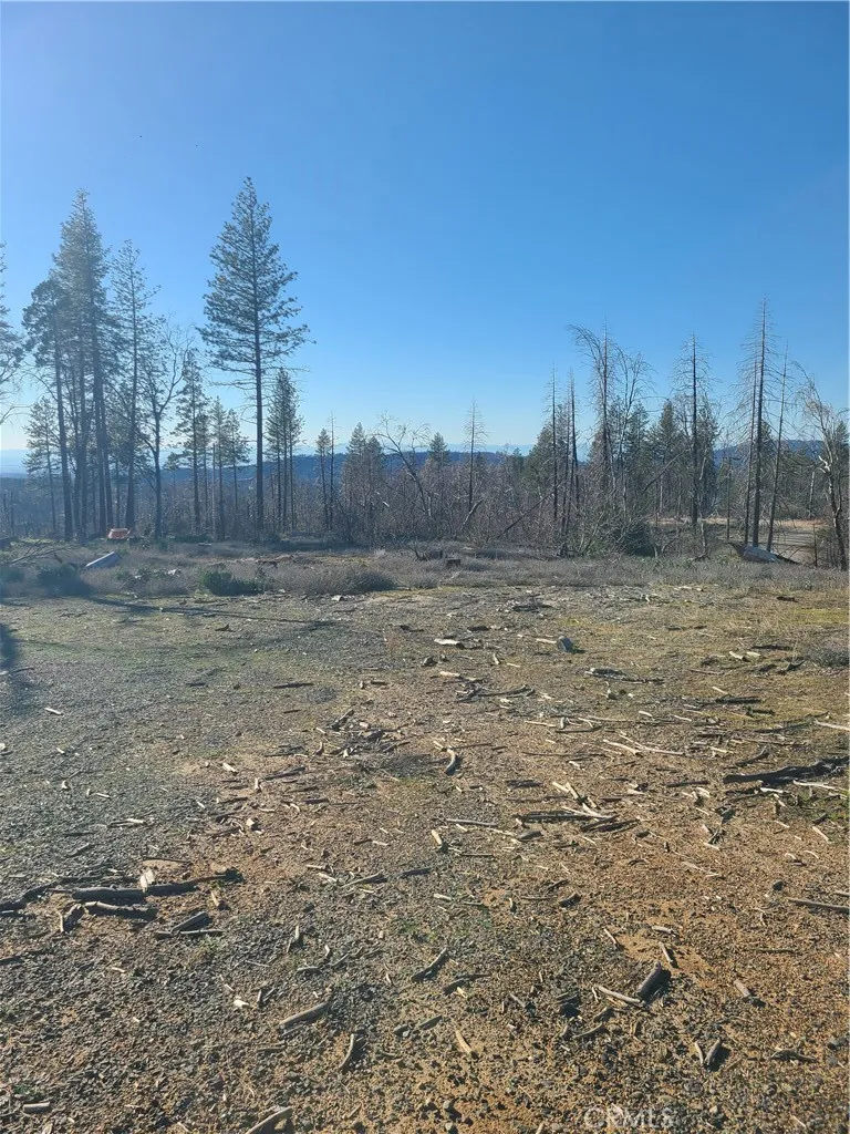 81 Green Cedar Berry Creek, CA 95916