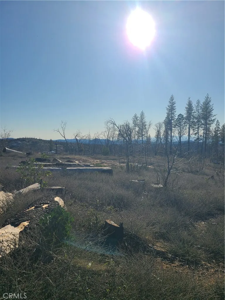 81 Green Cedar Berry Creek, CA 95916