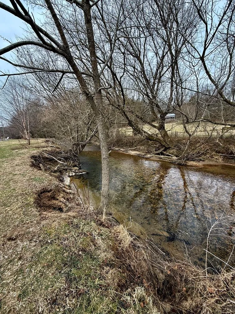 118 Mountain Meadows Drive