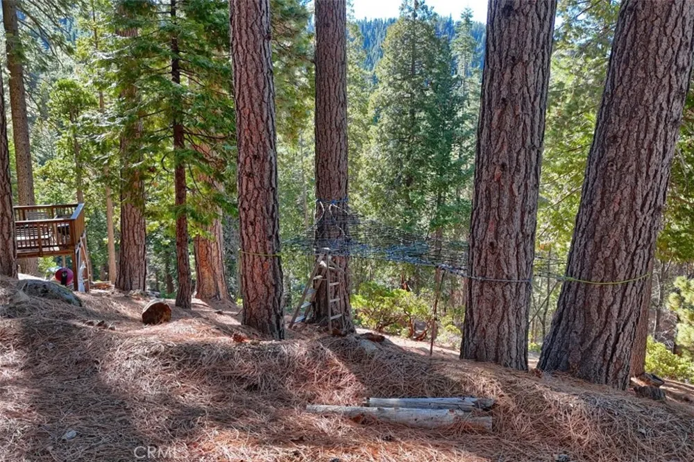 7349 Yosemite Park Way Yosemite, CA 95389