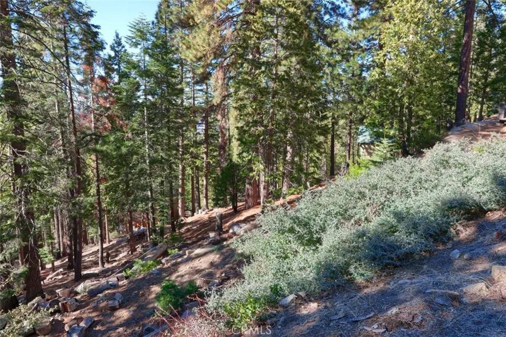 7349 Yosemite Park Way Yosemite, CA 95389