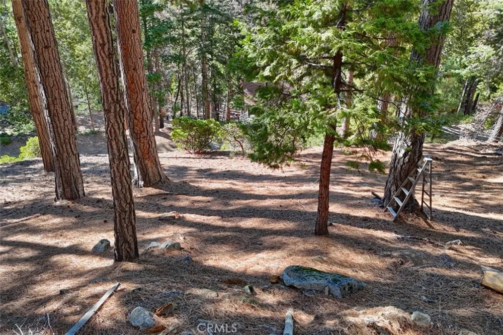 7349 Yosemite Park Way Yosemite, CA 95389