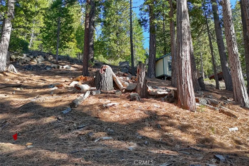 7349 Yosemite Park Way Yosemite, CA 95389