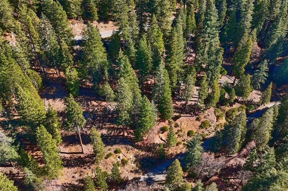 7349 Yosemite Park Way Yosemite, CA 95389