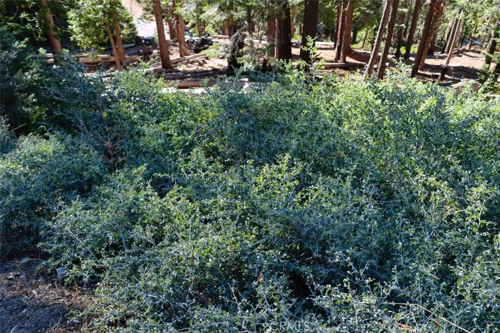 7349 Yosemite Park Way Yosemite, CA 95389
