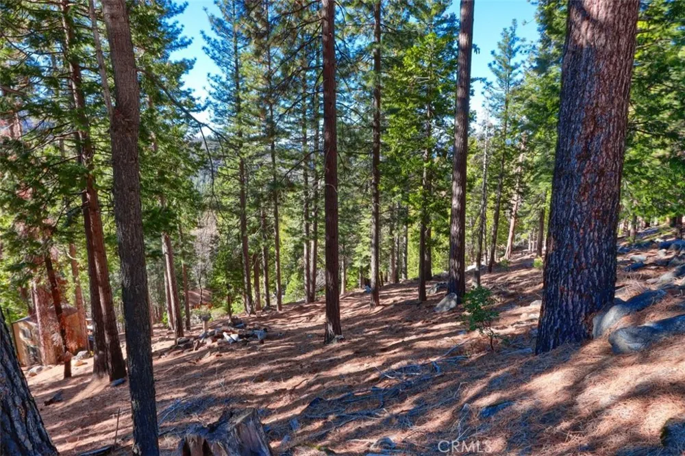 7349 Yosemite Park Way Yosemite, CA 95389