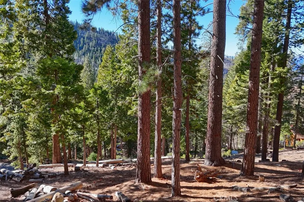 7349 Yosemite Park Way Yosemite, CA 95389
