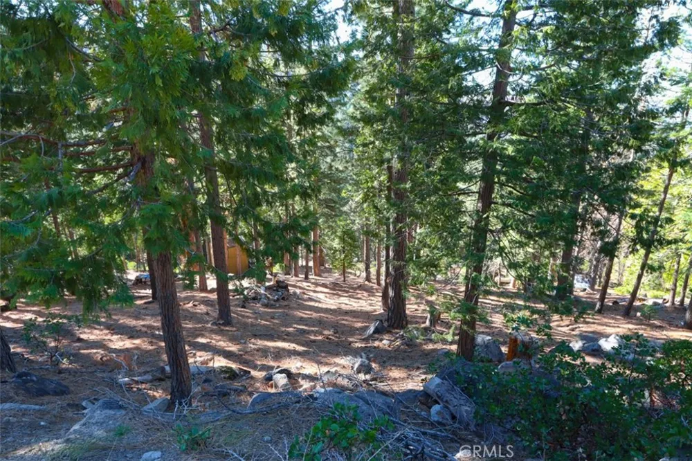 7349 Yosemite Park Way Yosemite, CA 95389