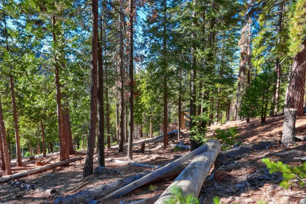 7349 Yosemite Park Way Yosemite, CA 95389