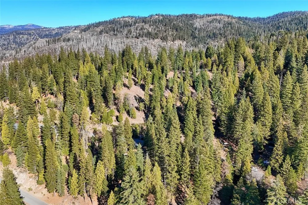 7349 Yosemite Park Way Yosemite, CA 95389