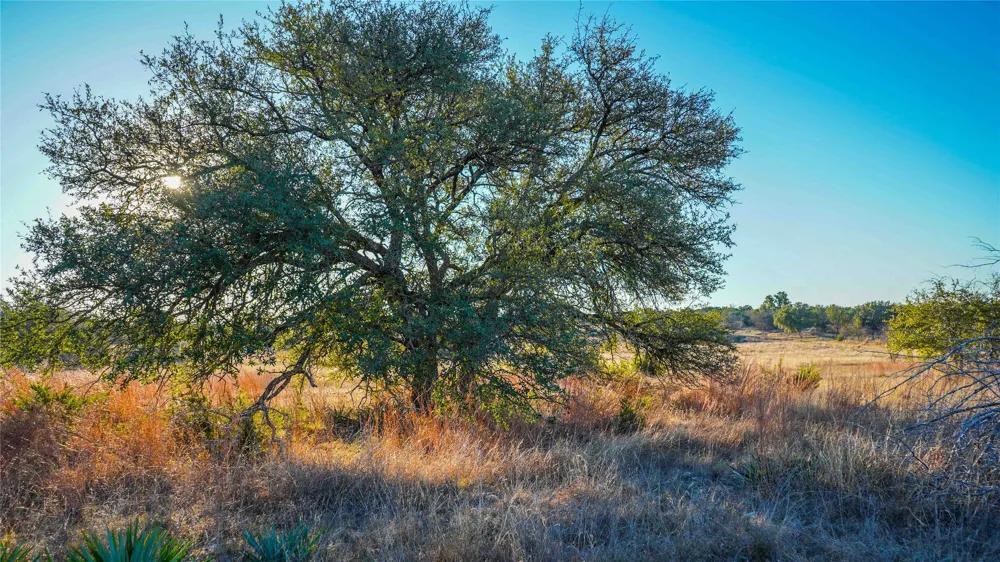 391 County Road 4717 Kempner, TX 76539