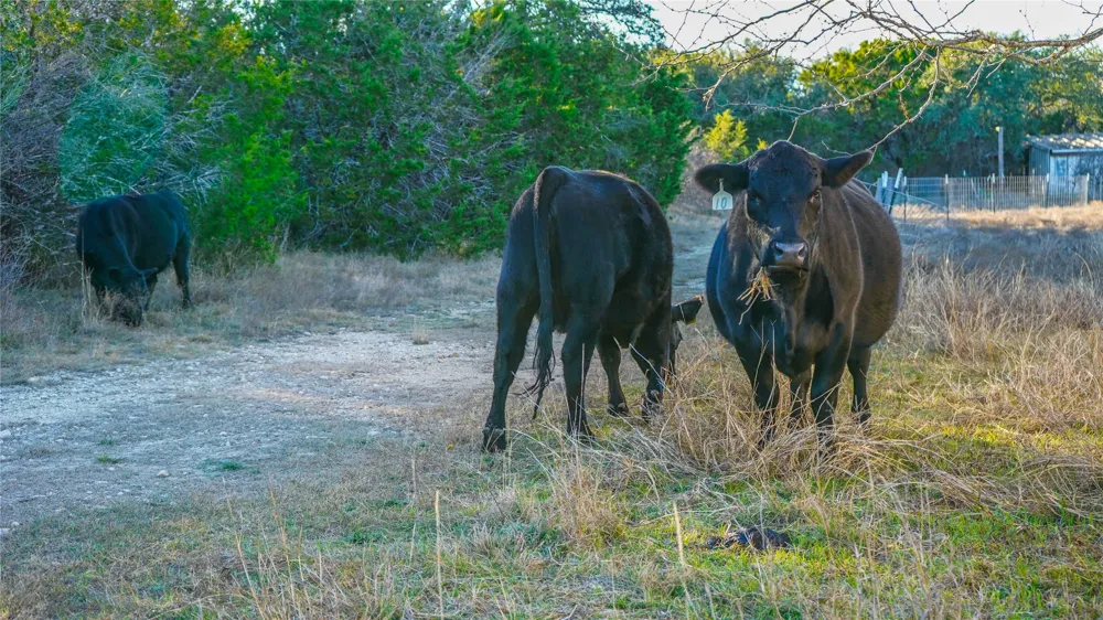 391 County Road 4717 Kempner, TX 76539