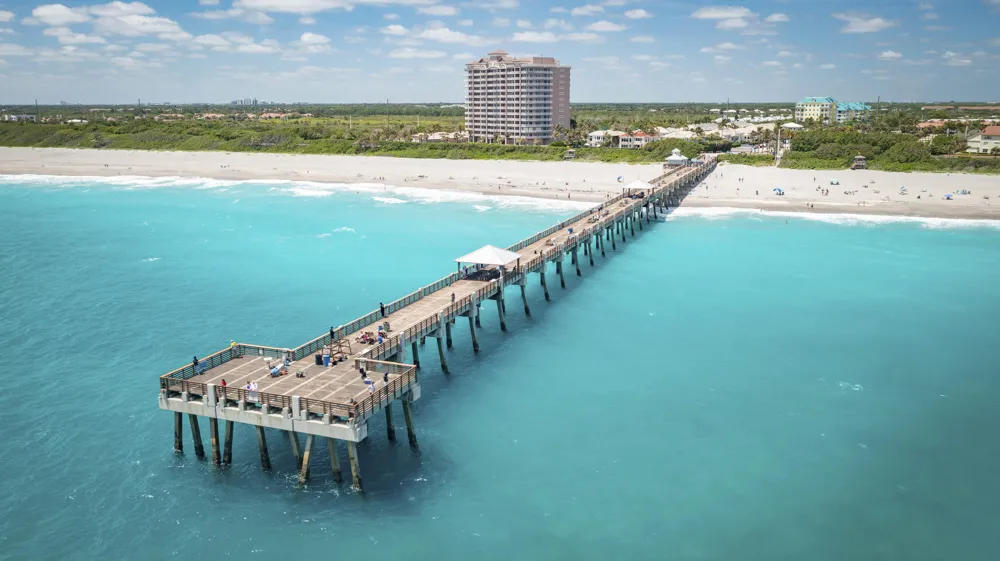 810 Juno Ocean Walk #504