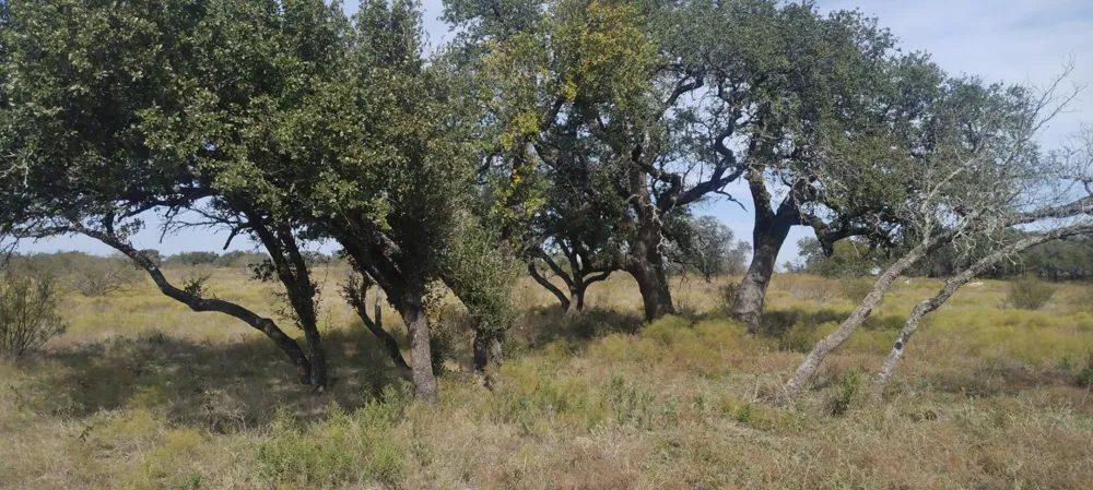 Pecan Valley Drive Energy, TX 76452