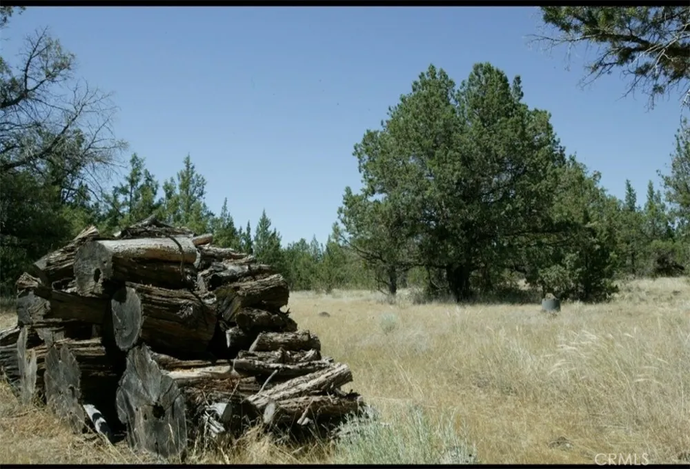 BIG SPRINGS ROAD Montague, CA 96064