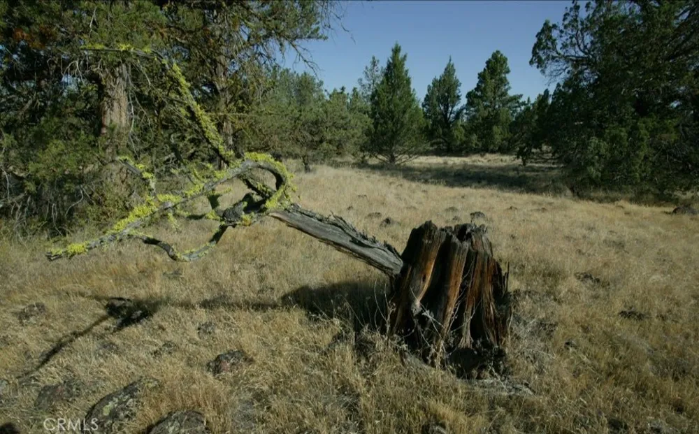 BIG SPRINGS ROAD Montague, CA 96064