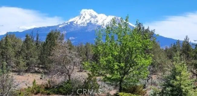 BIG SPRINGS ROAD Montague, CA 96064