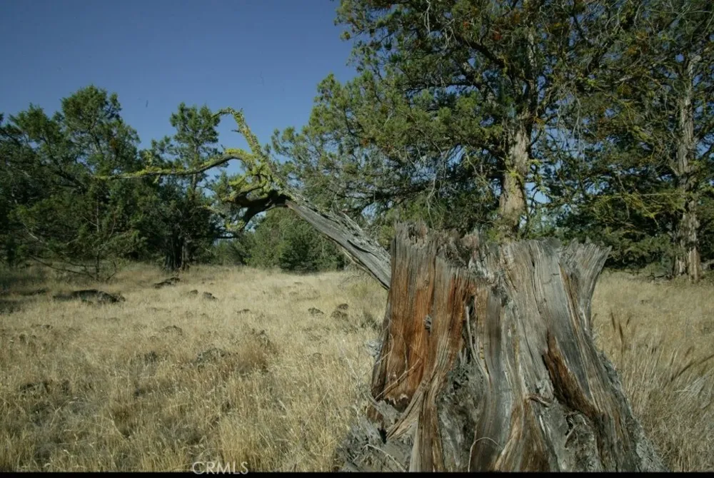 BIG SPRINGS ROAD Montague, CA 96064